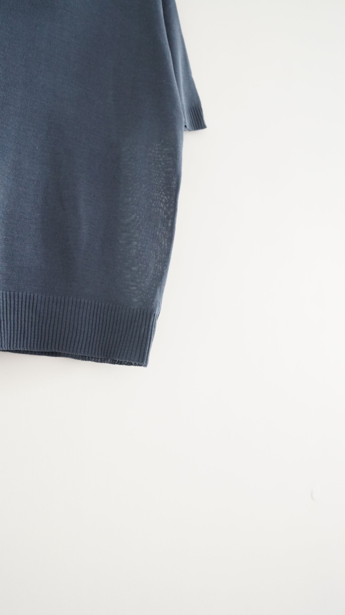 sheer v-neck shirt in tyrian blue