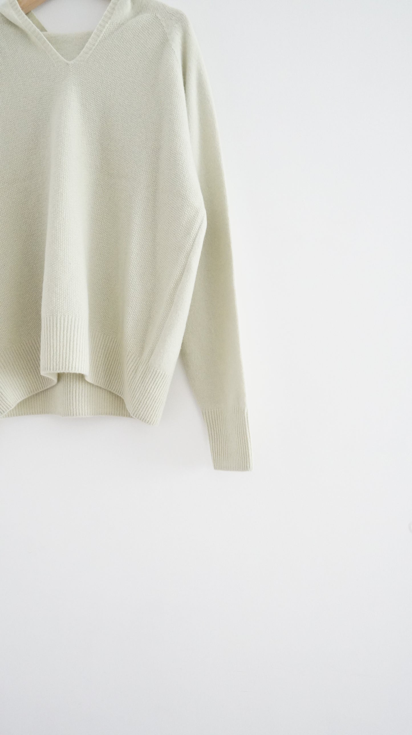 spring hoodies tee in mint (pre-order)