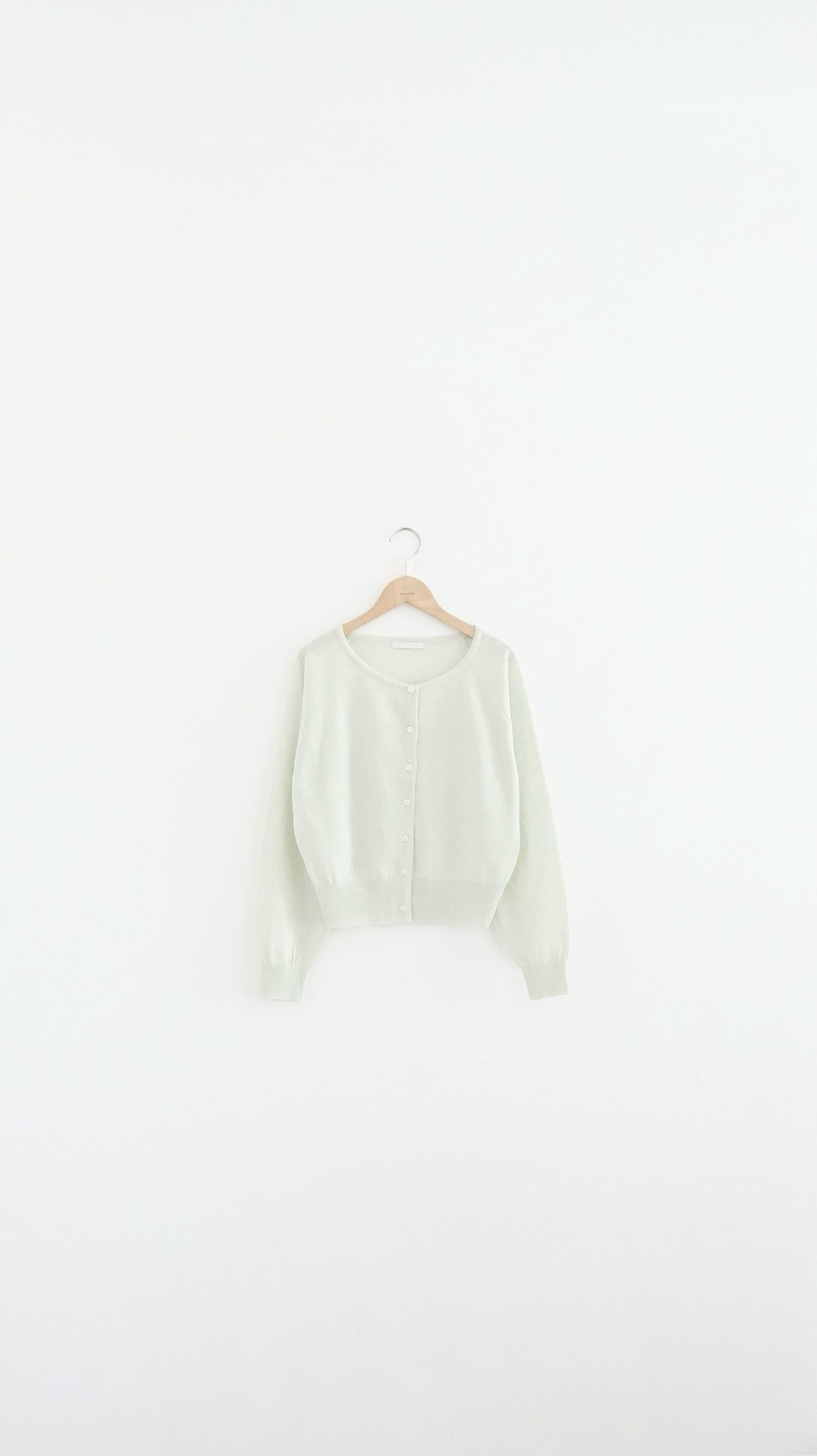 refined sheer cardigan in light green (pre-order)