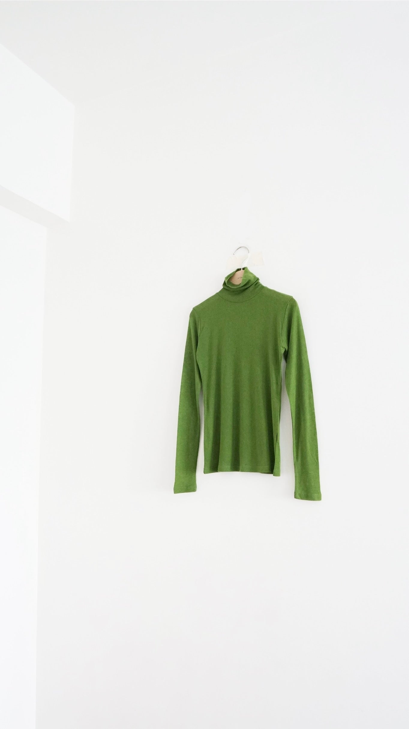 hana base turtleneck in green (pre-order)