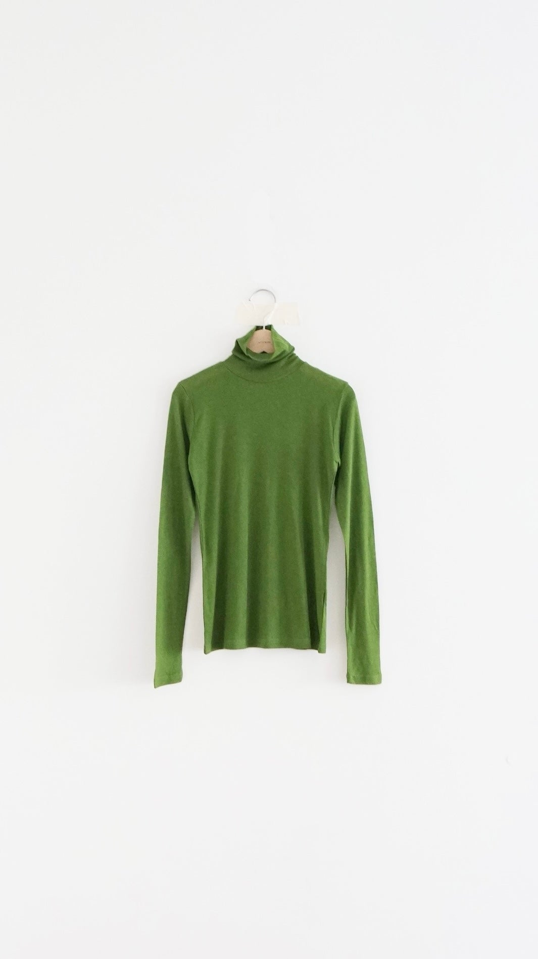 hana base turtleneck in green (pre-order)
