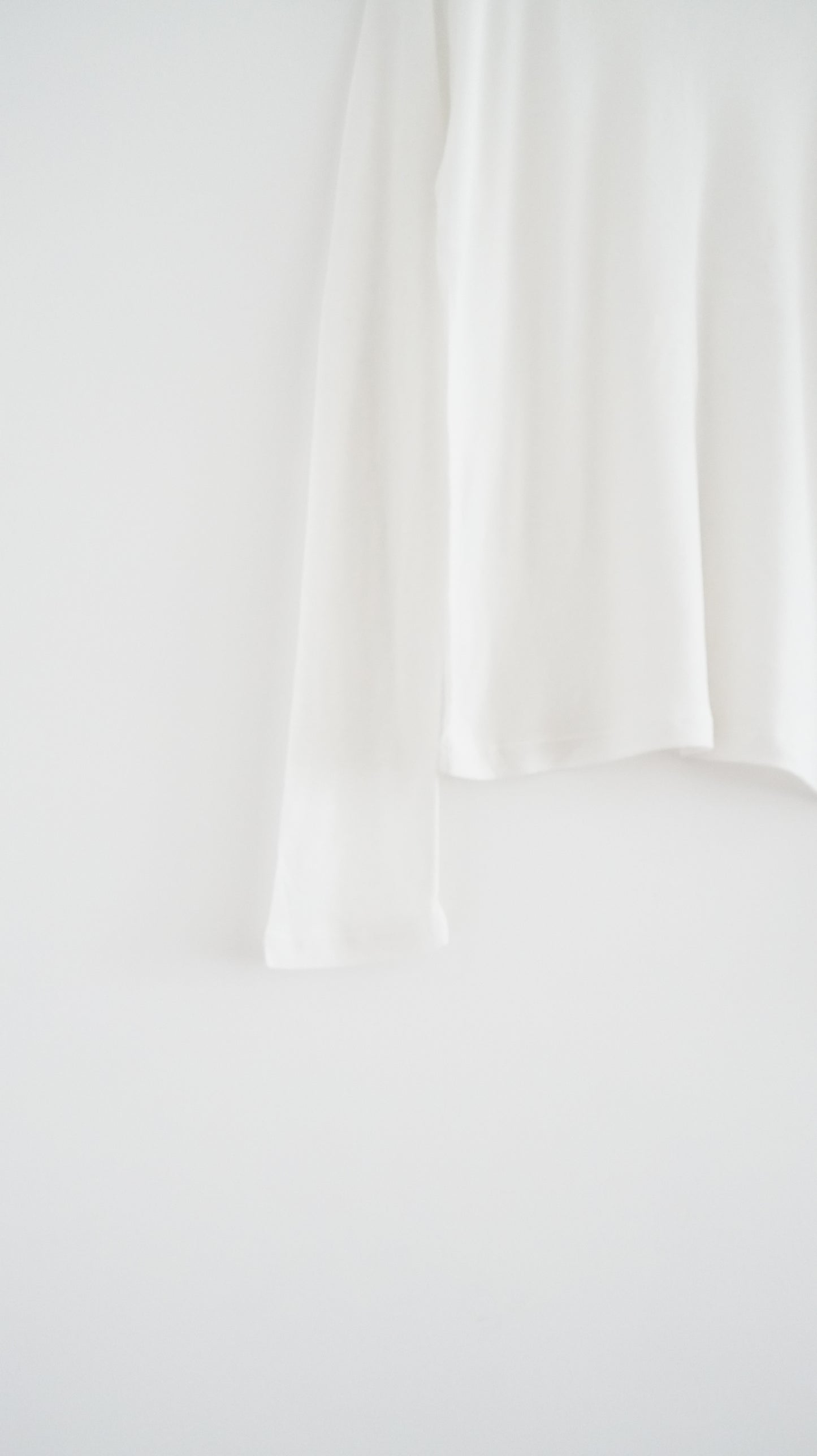 sheer silk top in ivory (pre-order)