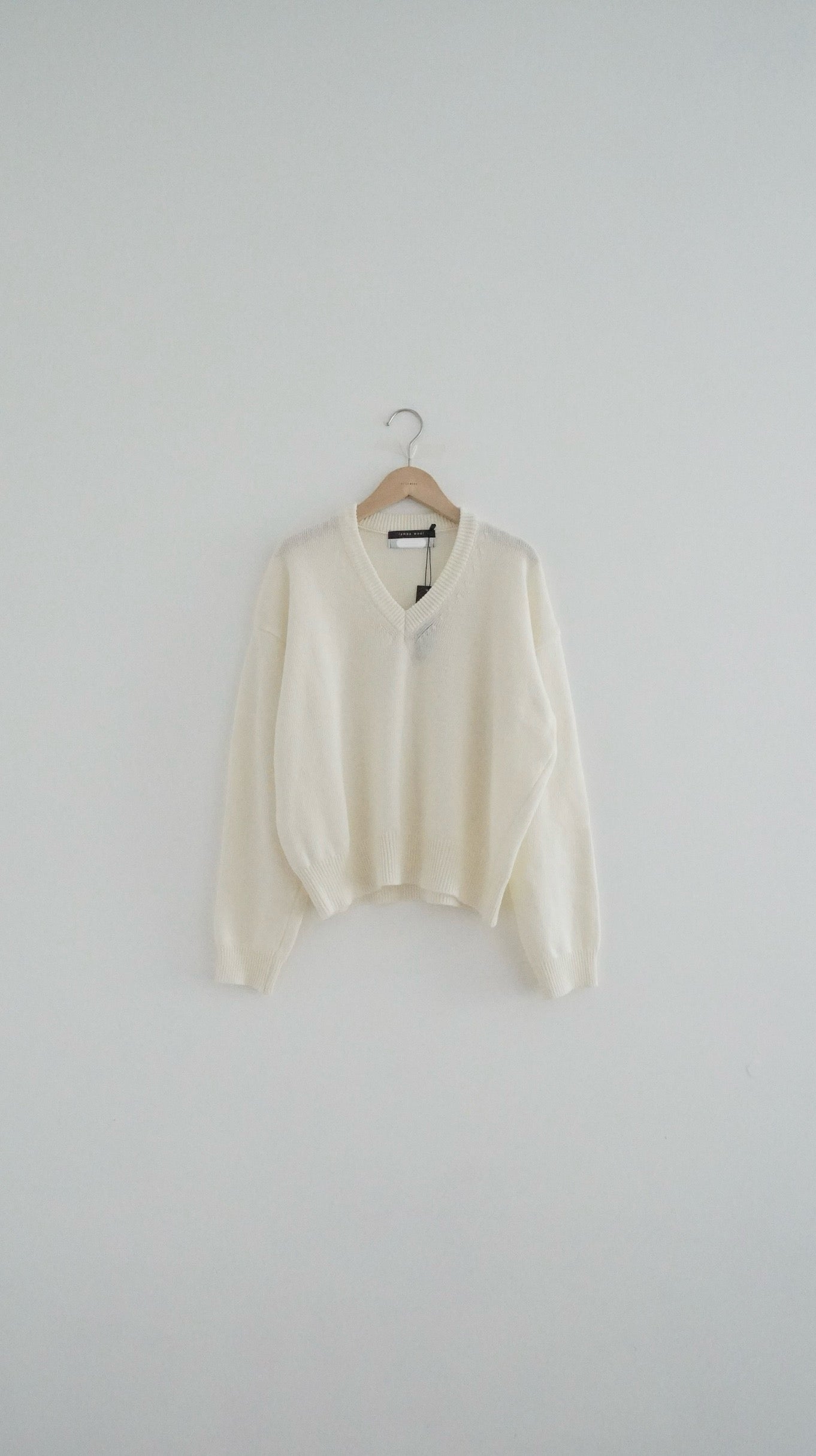 v-neck cashmere knit top in ivory (must-have)(pre-order)