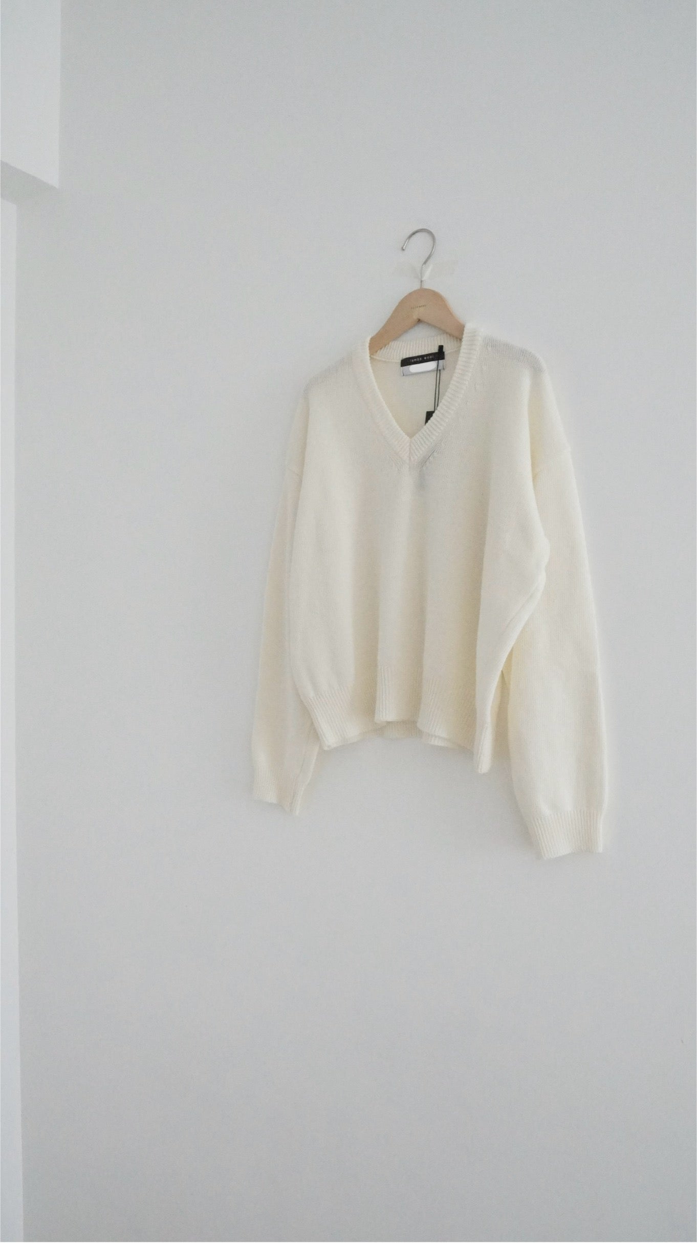 v-neck cashmere knit top in ivory (must-have)(pre-order)