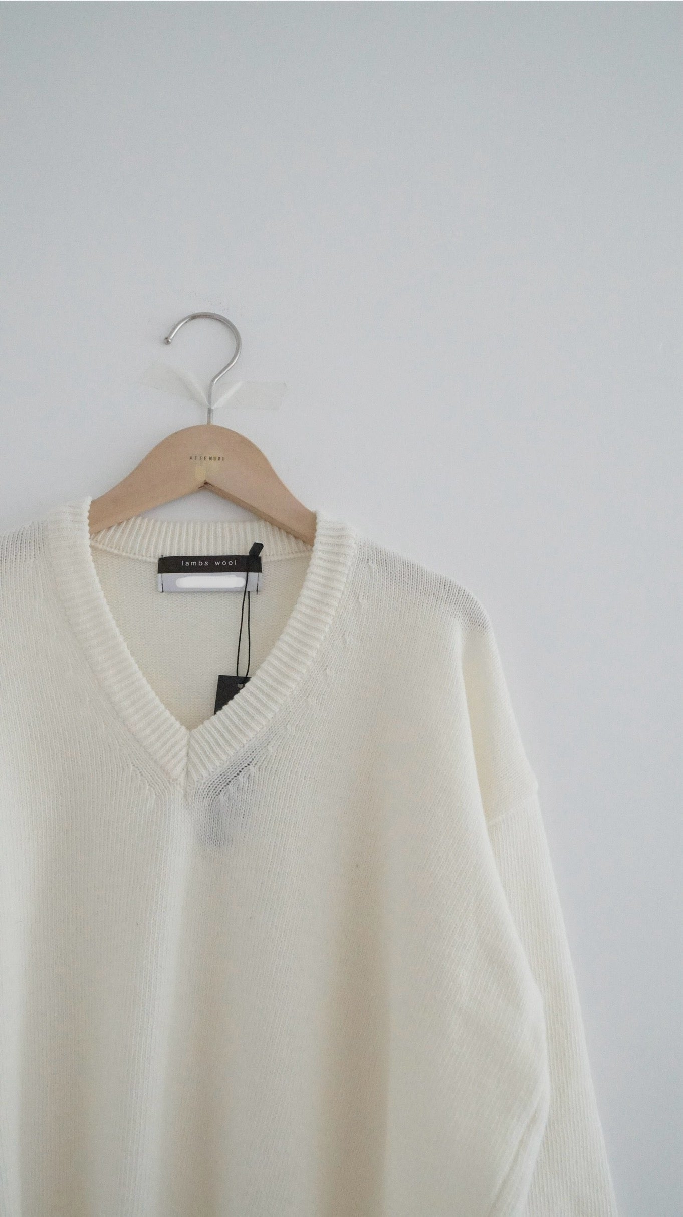 v-neck cashmere knit top in ivory (must-have)(pre-order)