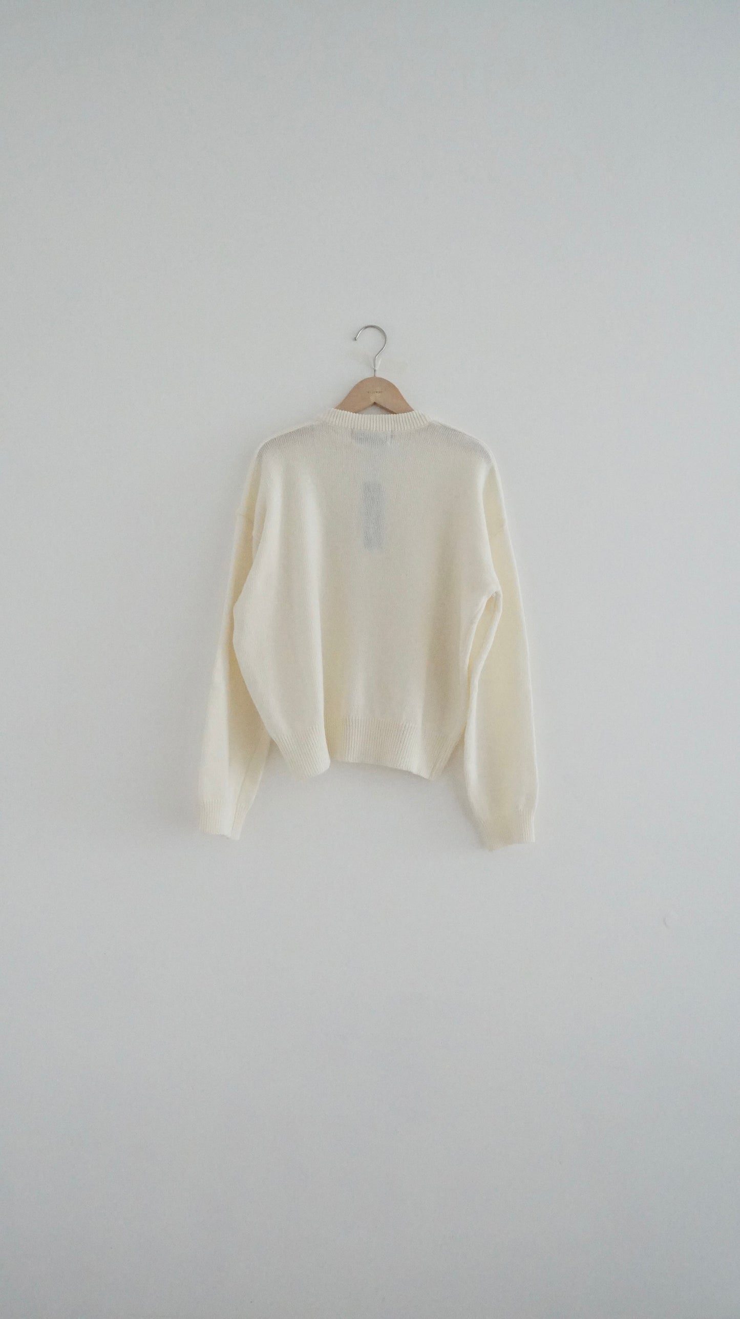 v-neck cashmere knit top in ivory (must-have)(pre-order)