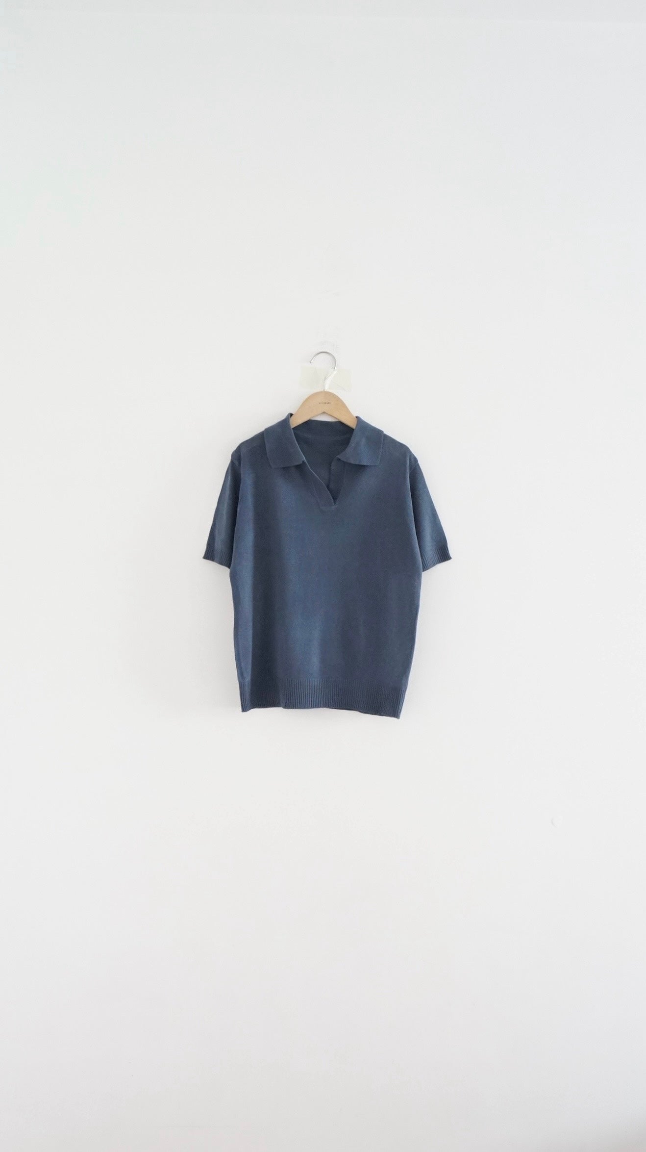 sheer v-neck shirt in tyrian blue (pre-order)