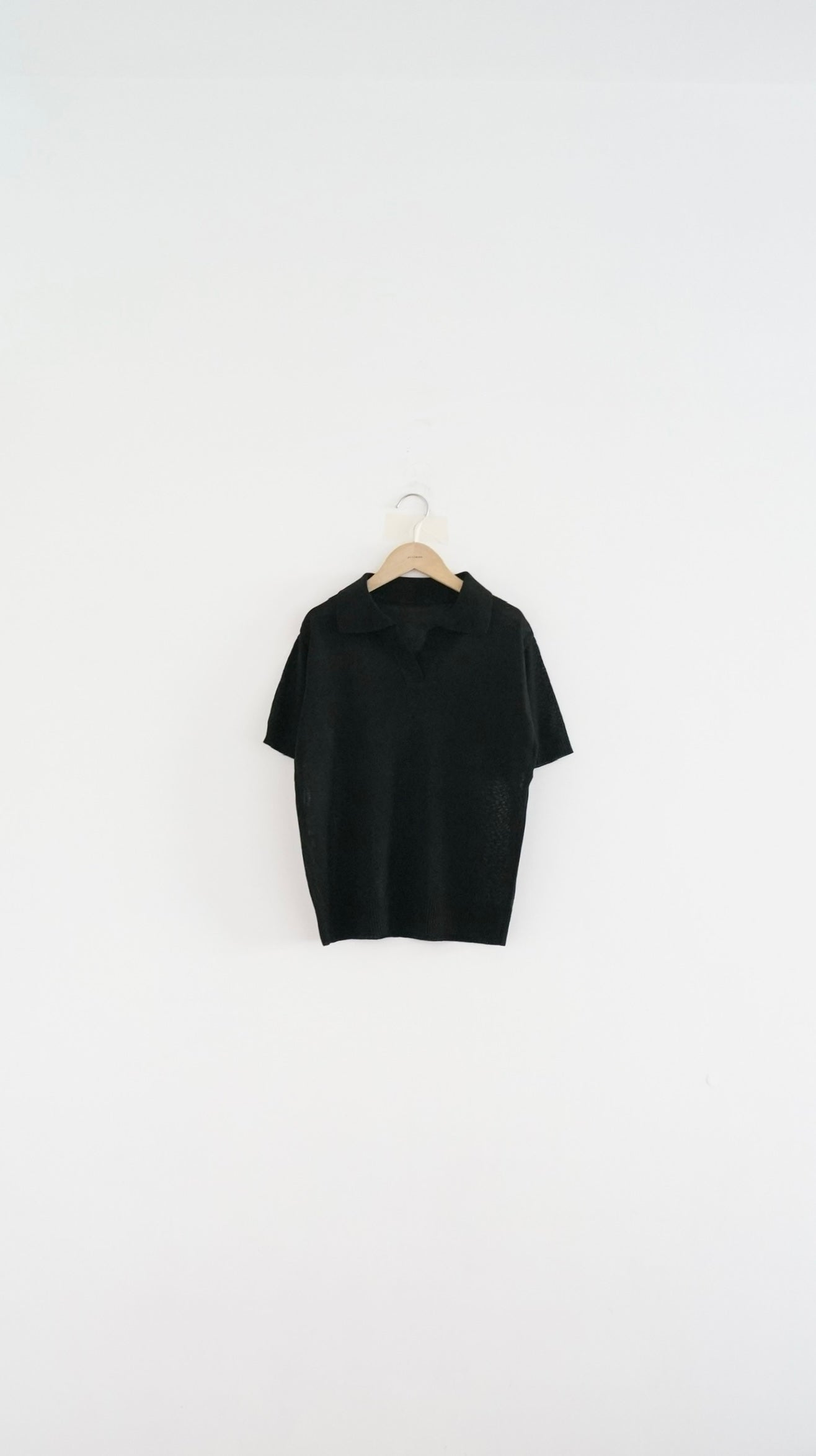 sheer v-neck shirt in black (pre-order)