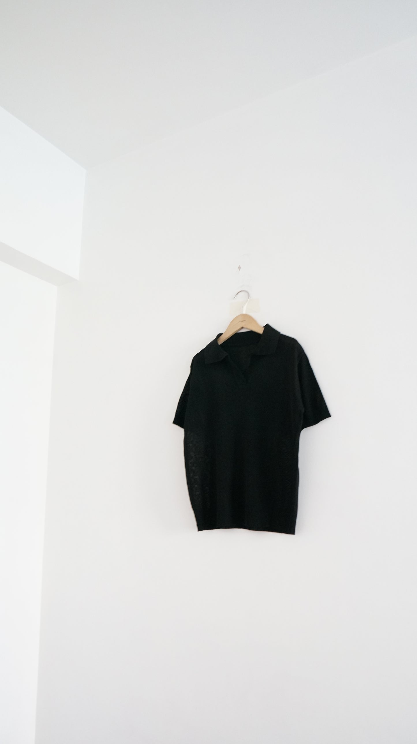 sheer v-neck shirt in black (pre-order)