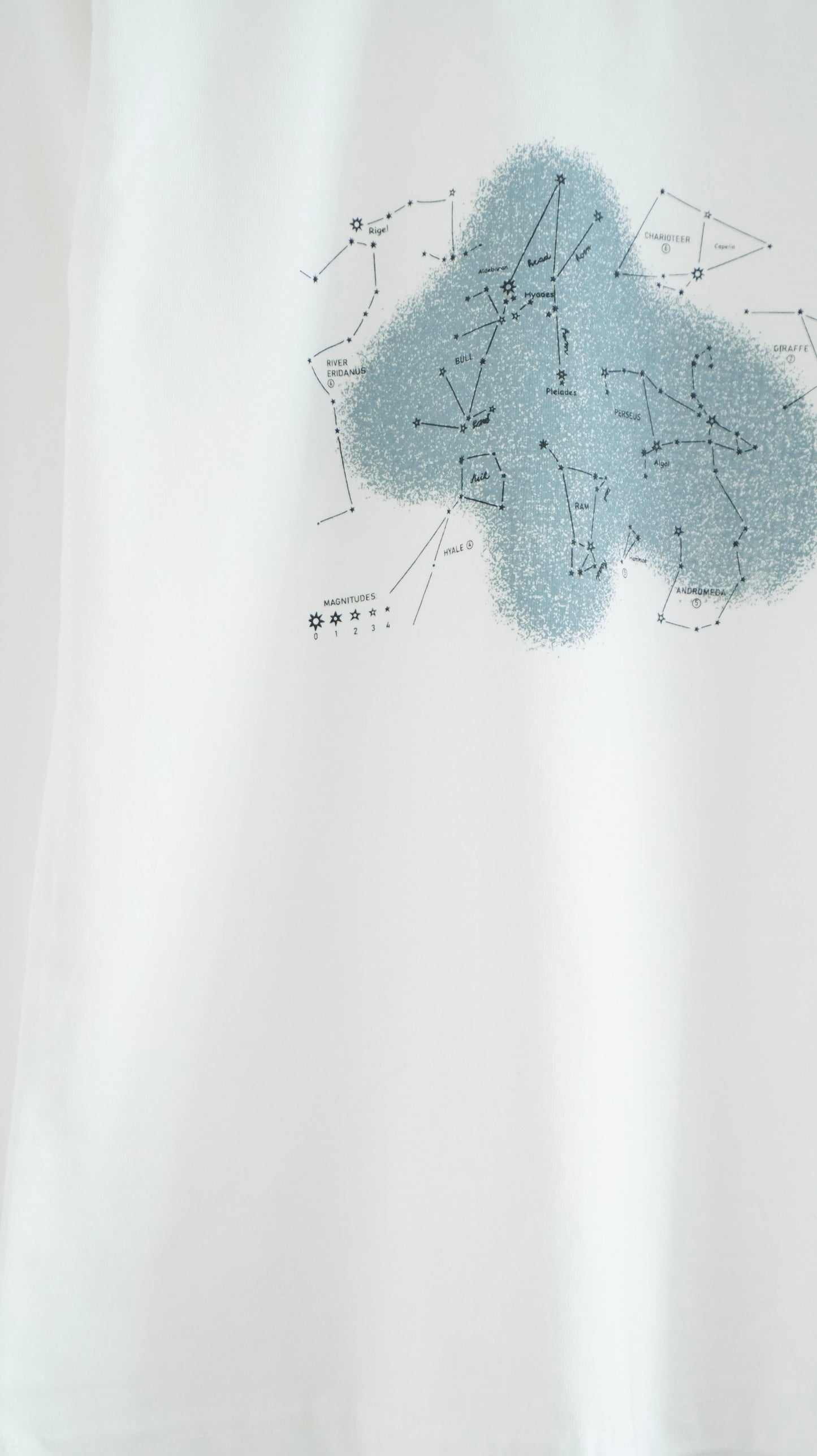 the orion print tee in white