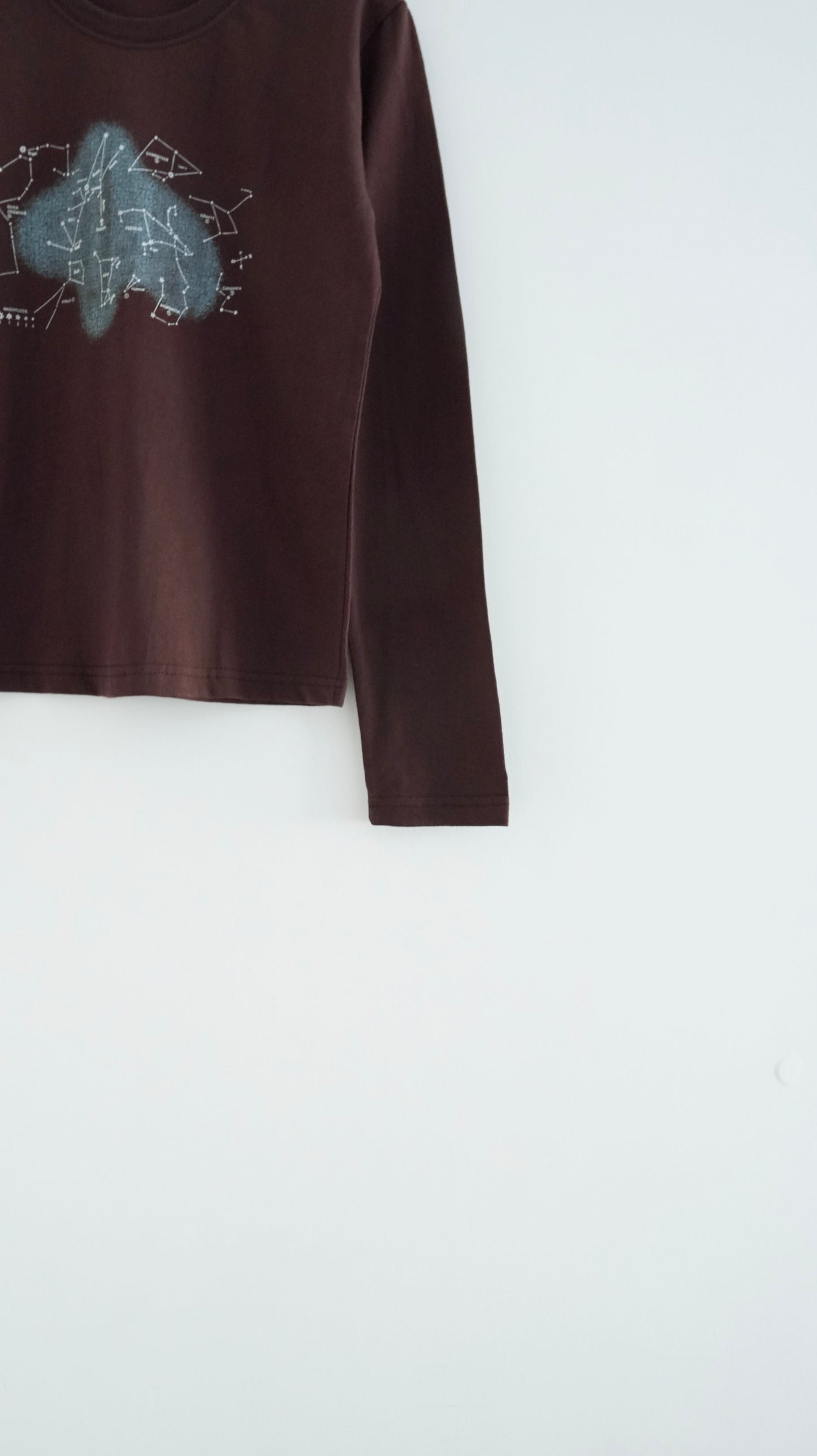 the orion print tee in brown (pre-order)